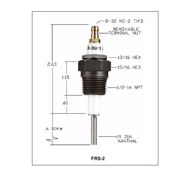 DETECTOR DE FLAMA E5-FRS2-24 AUBURN